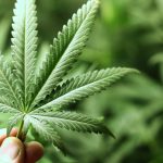 Pusher “pendolare”, cambia luogo di spaccio ma i carabinieri lo trovano: “guai” per 20enne