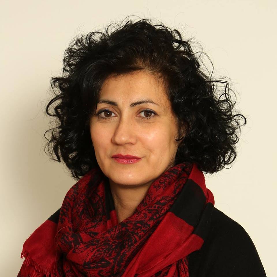 Diminuzione Iva, Drago (M5S), “Si punti invece a rivisitare l’Irpef” Diminuzione Iva, Drago (M5S), “Si punti invece a rivisitare l’Irpef”