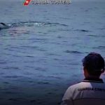 Guardia costiera scorta in mare aperto balena “Codamozza”