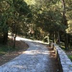 Riserva Naturale Monte Bonifato ad Alcamo