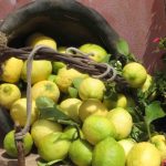 Limone dell’Etna, a un passo il riconoscimento come prodotto Igp