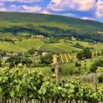 Vigneti “storici” ed “eroici”, via libera al decreto per la salvaguardia