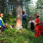 Imprese silvicole, in Sicilia +7% in quattro anni