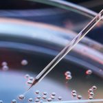 Separati, sì a impianto embrione di ex marito non consenziente