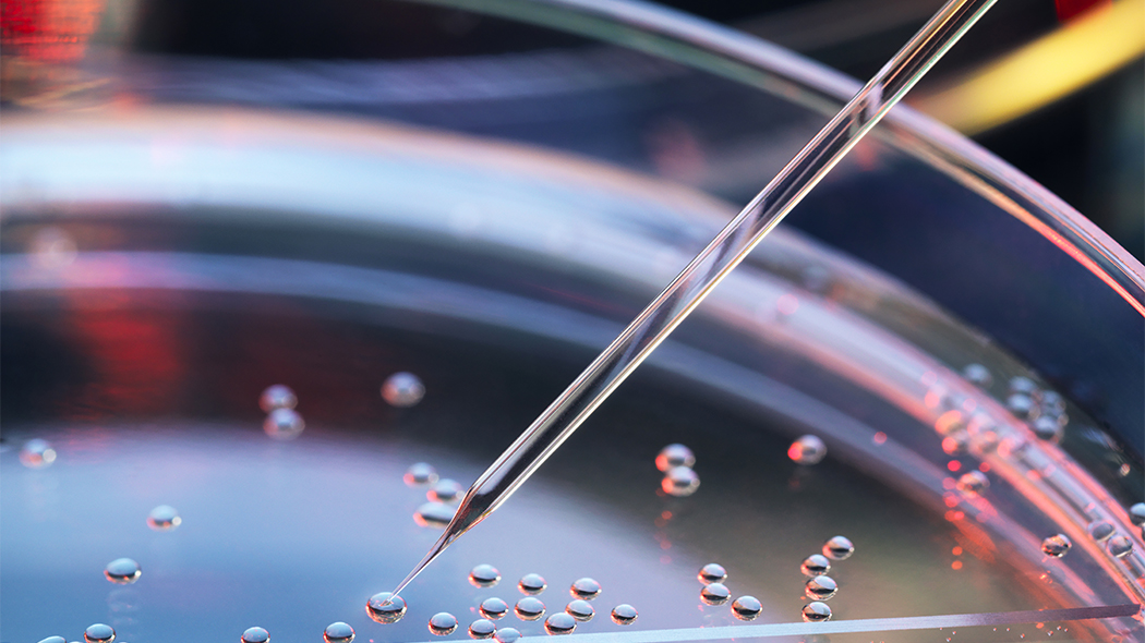 Separati, sì a impianto embrione di ex marito non consenziente