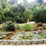 Pnrr, oltre un milione di euro per l’Orto Botanico di Palermo