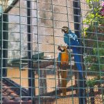 Parco Orleans, trovato l’accordo, gli animali sono della Regione