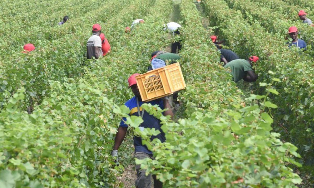 Cassibile, guerra per case braccianti agricoli, “Spreco di soldi”
