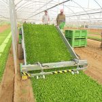 Agricoltura, alla Sicilia fondi per acquisti green