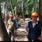 Catania, Boschetto della Plaia pronto tra venti giorni