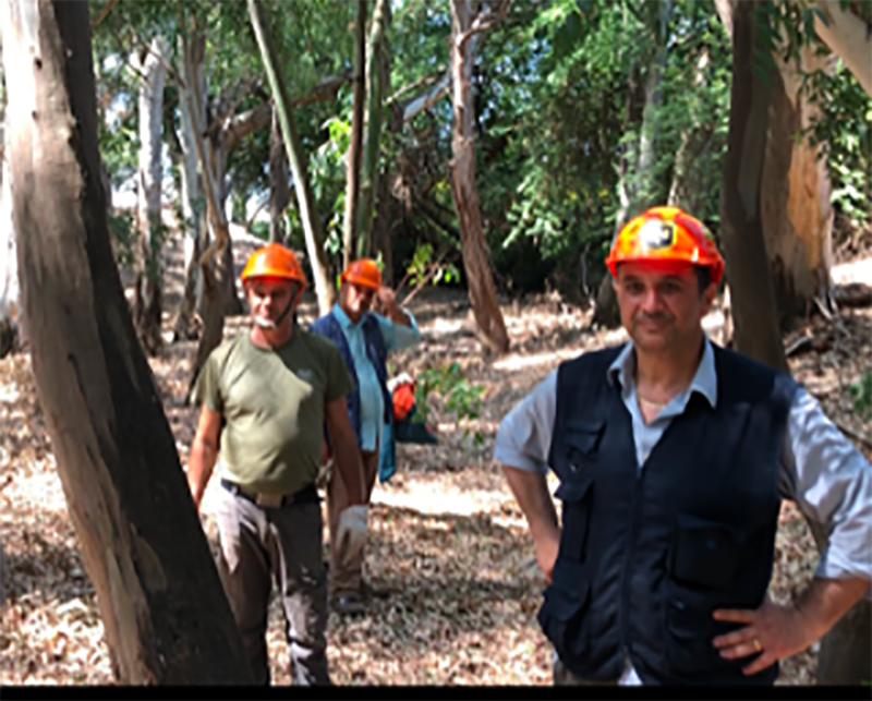 Catania, Boschetto della Plaia pronto tra venti giorni