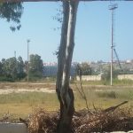 Augusta, messa in sicurezza del campo “Fontana”