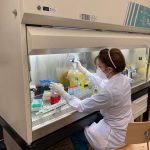 Covid, Iss, Rt scende a 0,97 dopo 5 settimane ma non in Sicilia