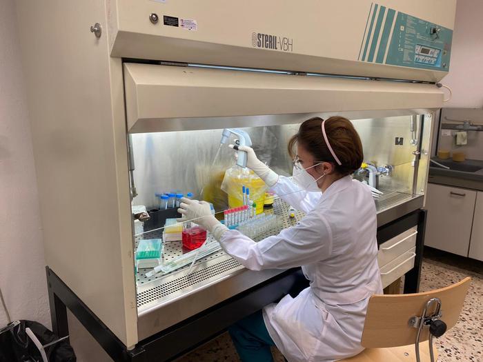 Coronavirus, la Sicilia è la prima regione italiana per Rt