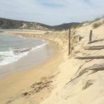 In Sicilia rischiano di sparire le coste, più della metà è soggetto ad erosione