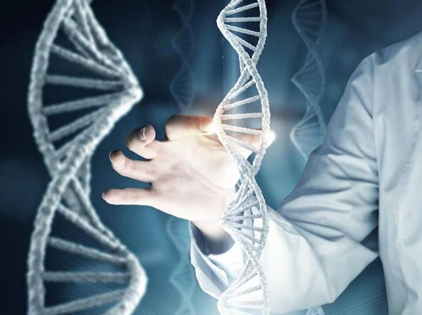 Malattie rare, cure gratuite e fondo solidarietà, le novità introdotte dal testo unico