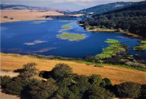 VIDEO | Duro colpo alla mafia dei pascoli: sequestri per 750mila euro e 23 arresti sui Nebrodi