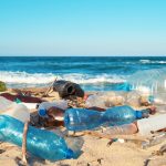 Ambiente: Plastic free, nel weekend raccolti 100mila kg rifiuti, in azione in 184 comuni