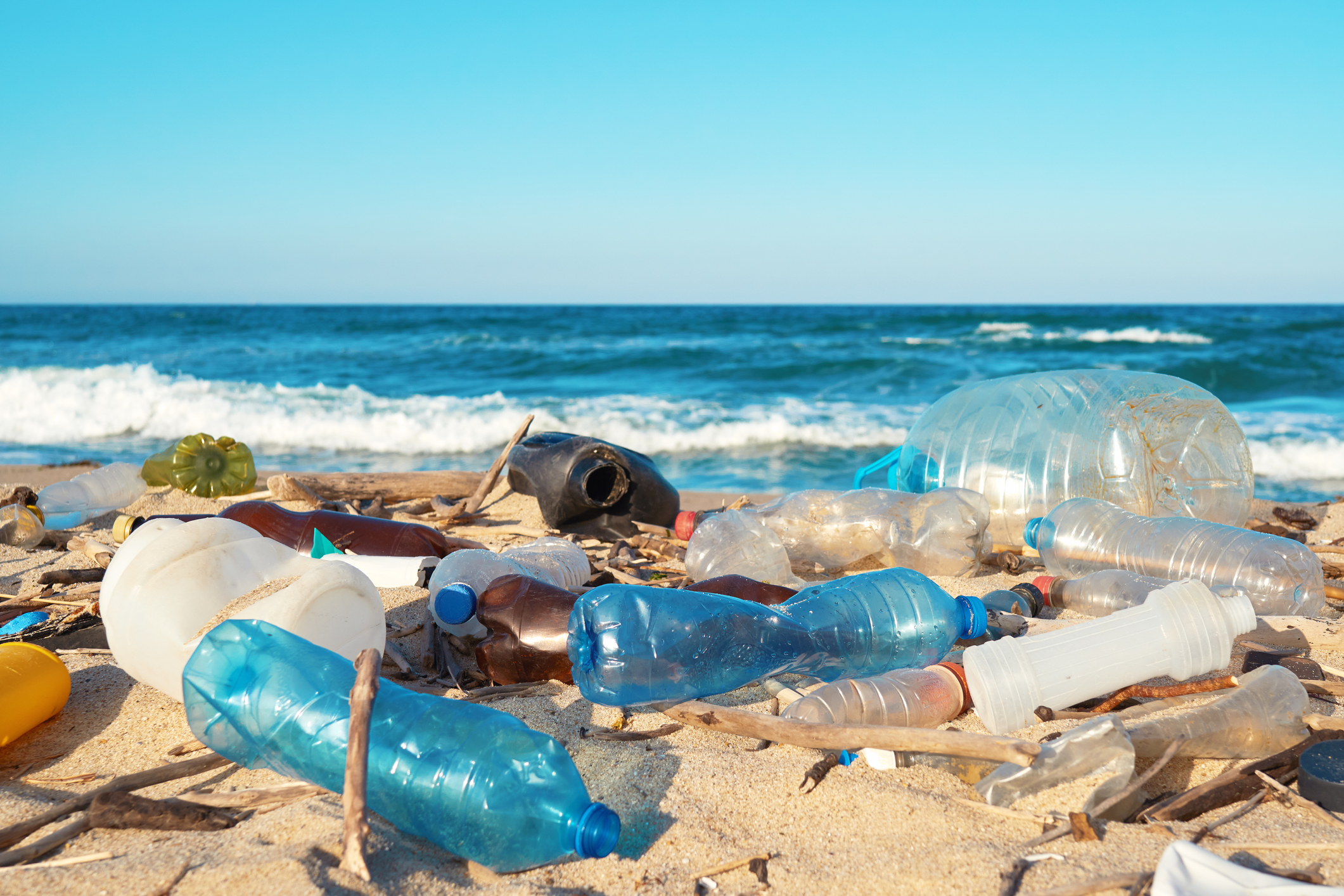 Ambiente: Plastic free, nel weekend raccolti 100mila kg rifiuti, in azione in 184 comuni