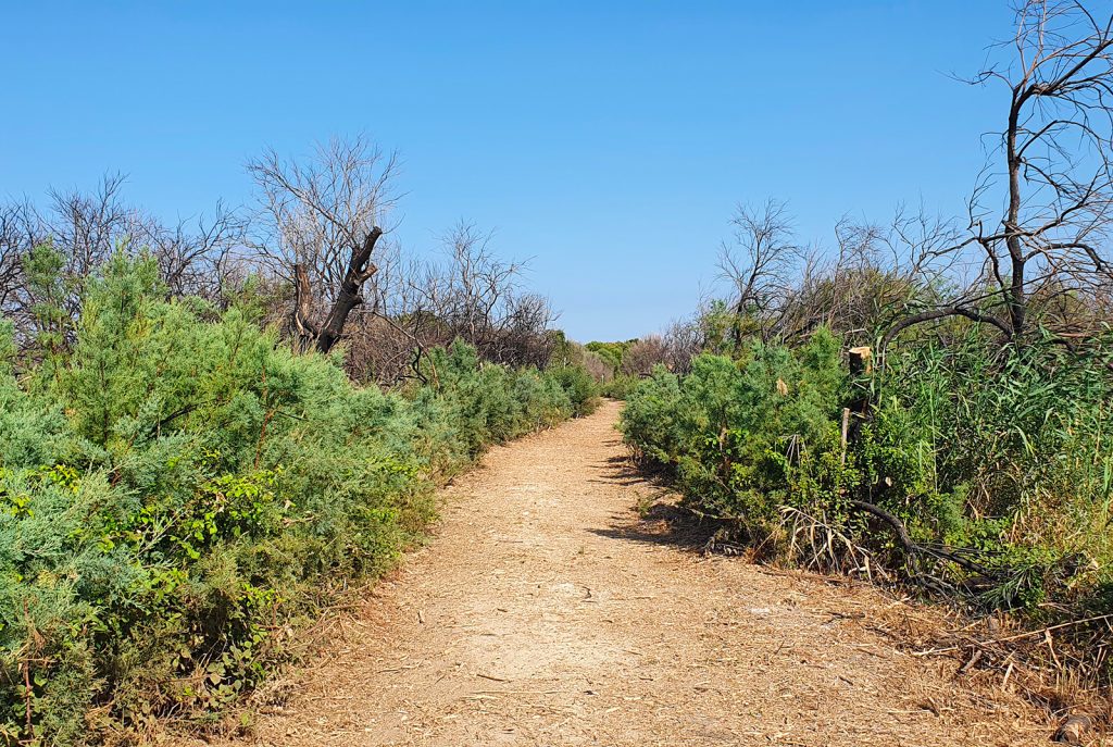 riserva-saline-priolo