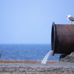 Dossier Mare Monstrum, 11 reati al giorno in Campania