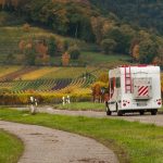 In camper con vista sulla vigna per un turismo eco-sostenibile