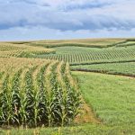 Centuripe, risorse europee per la ripartenza post Covid