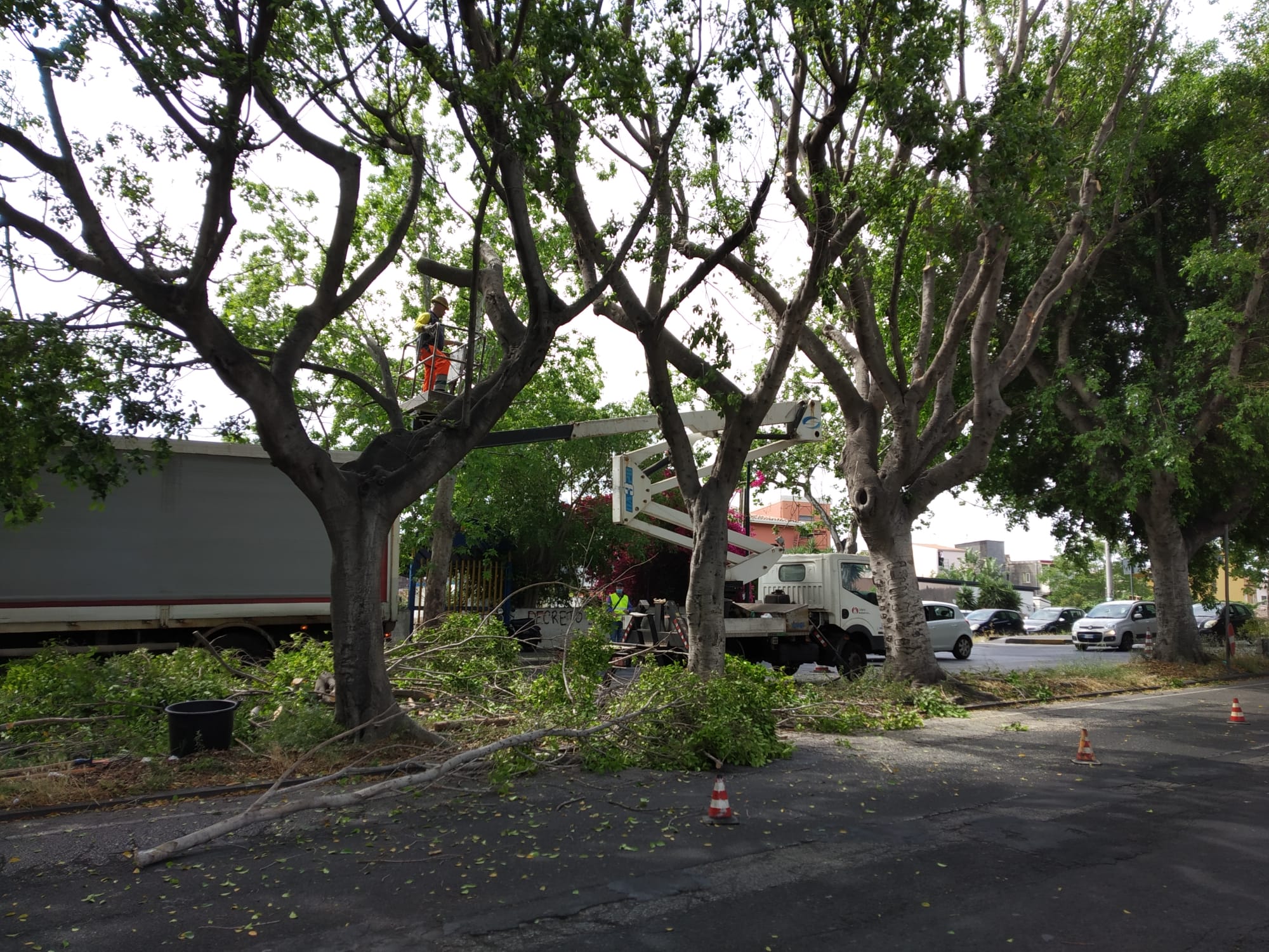 Catania, verde urbano, da settembre si riparte