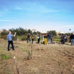 Il Bosco delle Troiane torna al Comune di Siracusa
