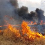 Incendi, estate di fuoco da Nord a Sud, in Sicilia record di interventi dei vigili