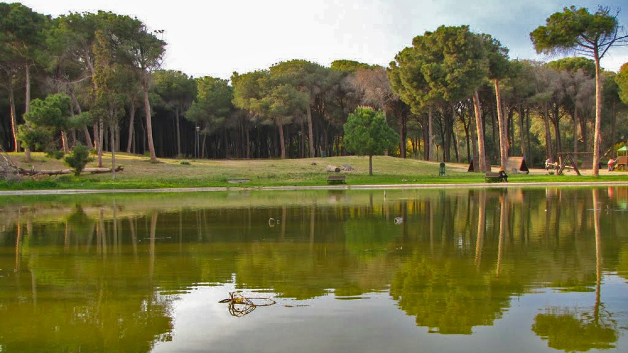 Il boschetto della Playa si prepara al Ferragosto
