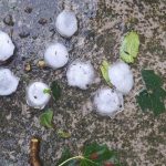 Tempesta di vento e grandine, diversi feriti e macchine distrutte