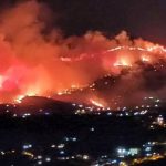 Fiamme “criminali” in boschi e riserve. Regione sotto accusa