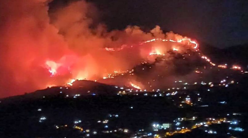 Fiamme “criminali” in boschi e riserve. Regione sotto accusa Fiamme “criminali” in boschi e riserve. Regione sotto accusa