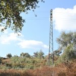 Dj morta, il corpo sotto il traliccio già il giorno dopo la scomparsa