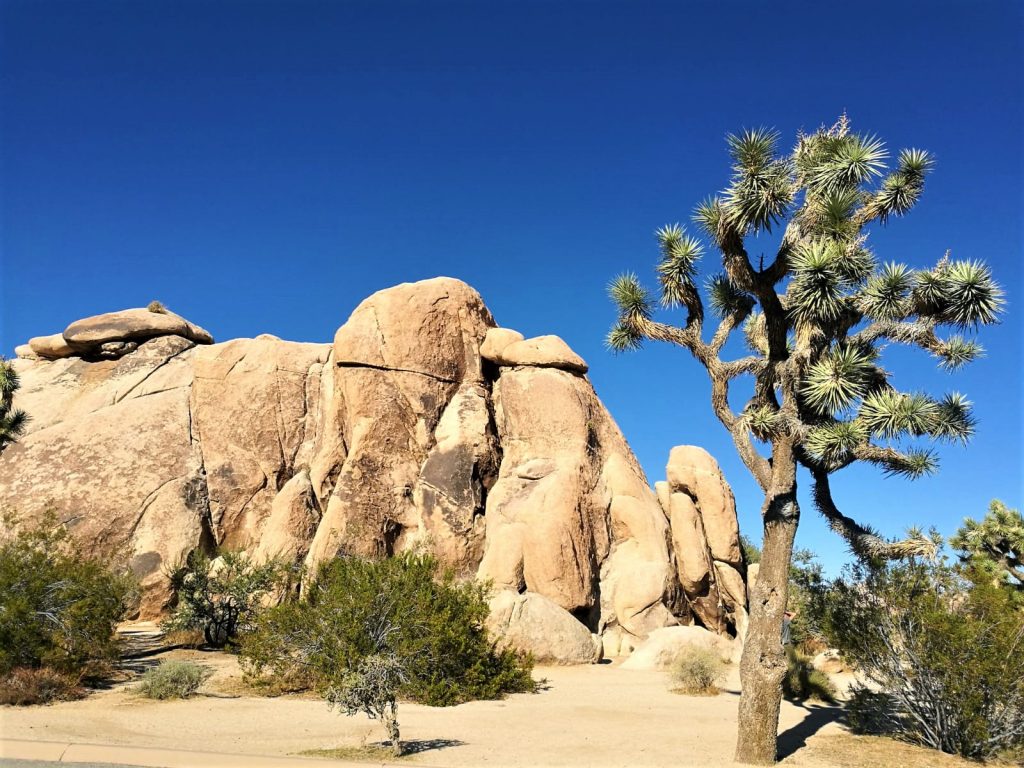 Un pezzetto del Friuli lungo la via dei Maya