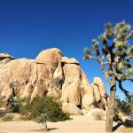 Un pezzetto del Friuli lungo la via dei Maya