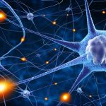 Coronavirus, congresso neurologia a Caltanissetta