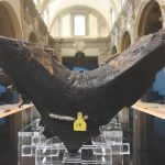 “Ulisse e la Sicilia”, Gela capitale della cultura mondiale