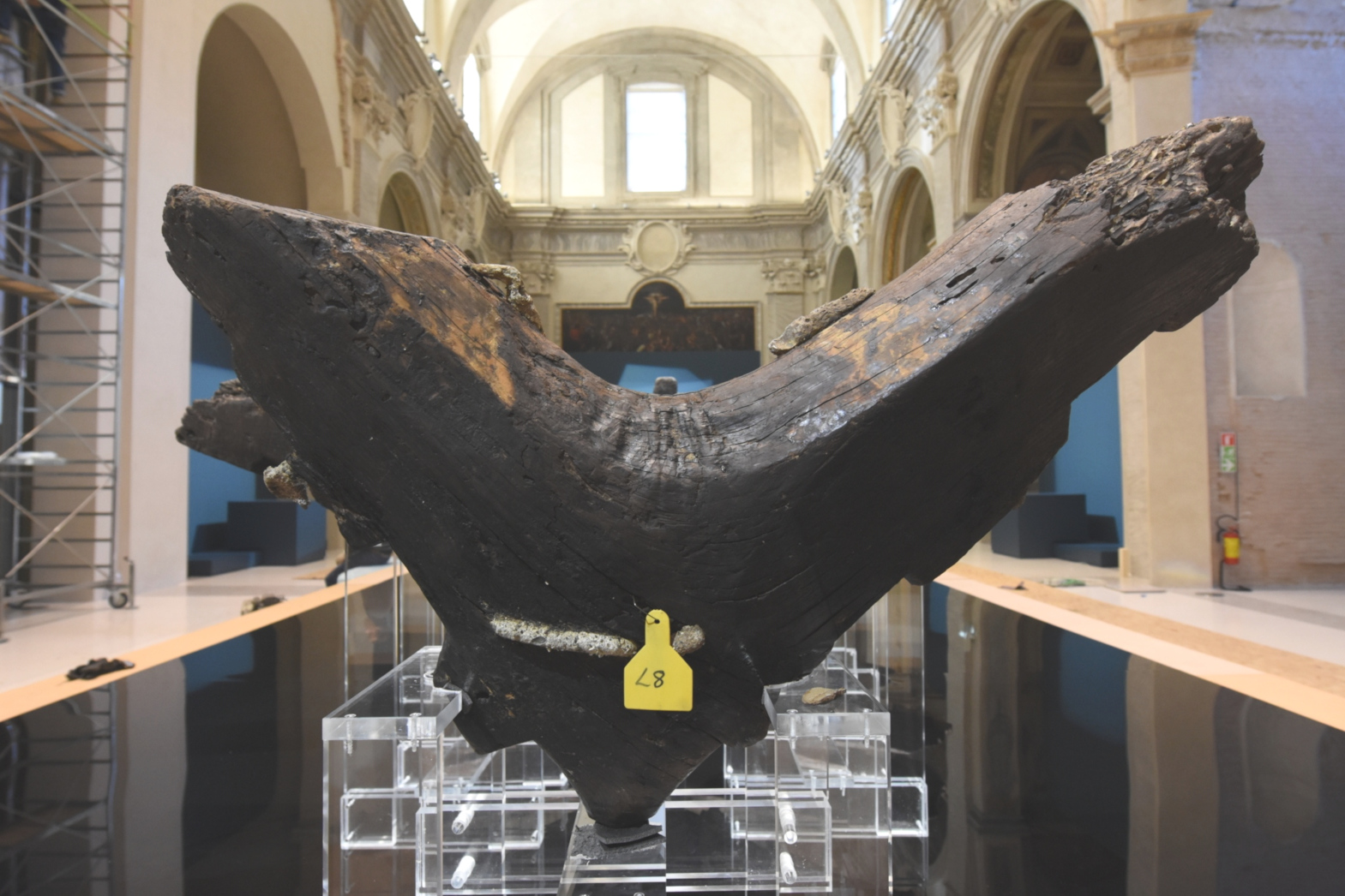 “Ulisse e la Sicilia”, Gela capitale della cultura mondiale “Ulisse e la Sicilia”, Gela capitale della cultura mondiale