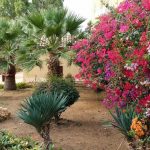 Agrigento, “Messa alla prova” nel Giardino botanico