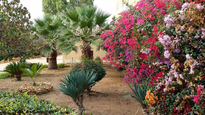 Agrigento, “Messa alla prova” nel Giardino botanico