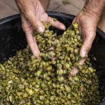 Le proprietà naturali cappero contrastano il Covid-19. L’invito ad un’alimentazione mediterranea