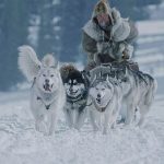 Cinema d’estate, torna nelle sale la vita di Leonhard Seppala