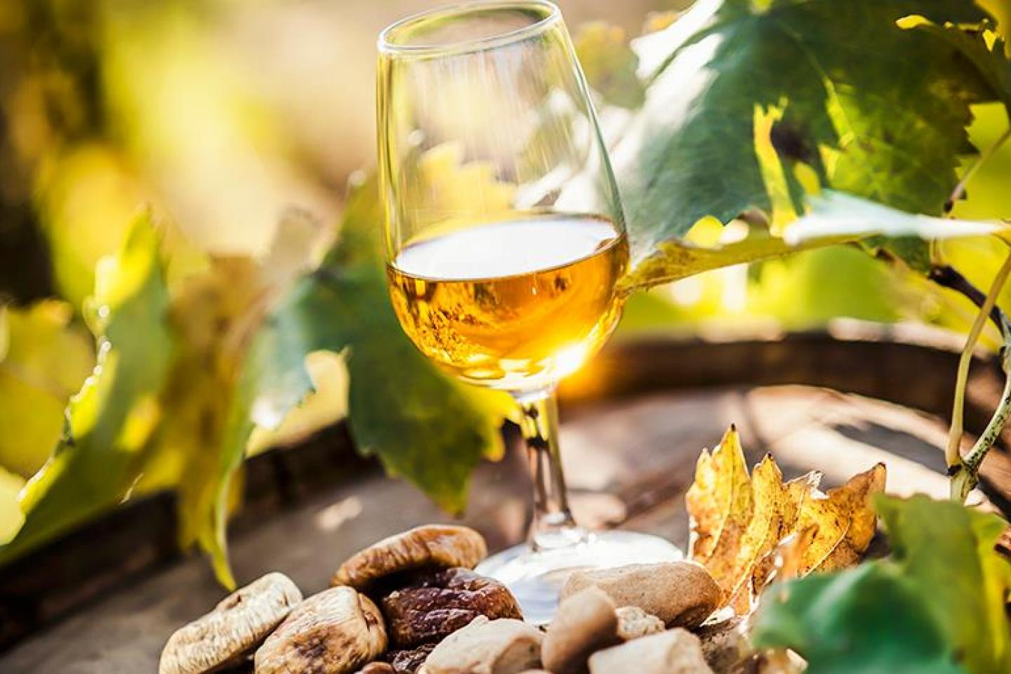 Vini, è siciliano il miglior passito d’Italia