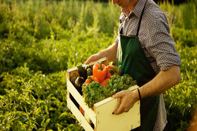 Medifood, nasce l’hub dell’agroalimentare siciliano