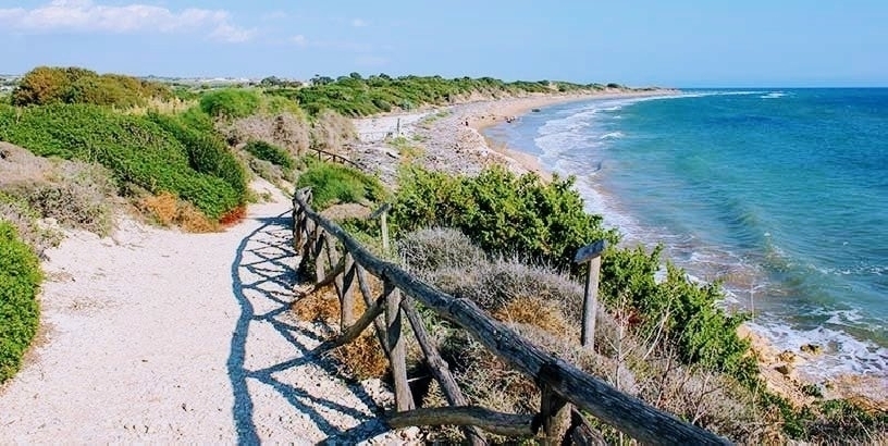 Nuova vita per la riserva ‘Macchia foresta del fiume Irminio’