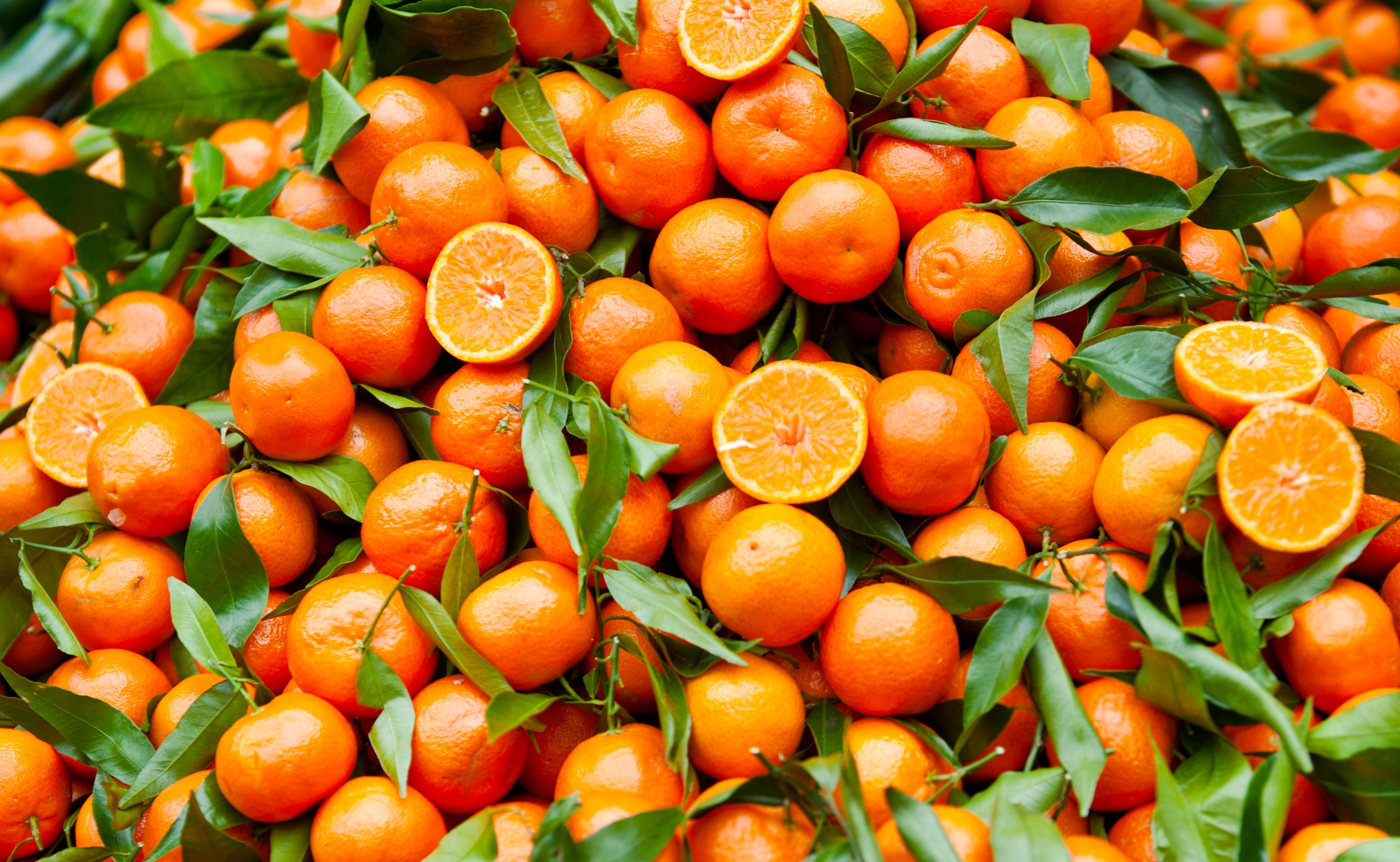 I nuovi scenari che si aprono adesso per l’agrumicoltura siciliana