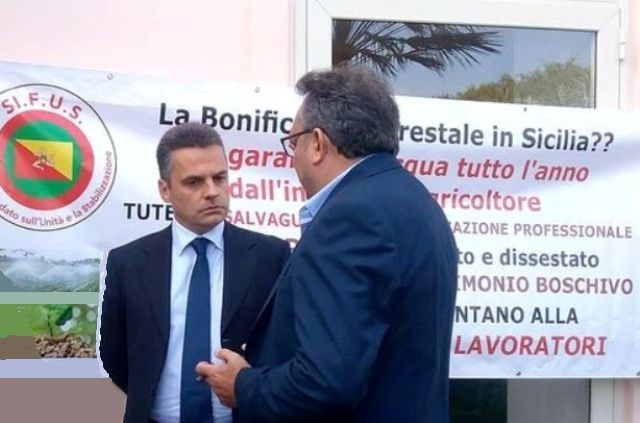 Riforma lavoro forestale, oggi tavolo tecnico a Palermo