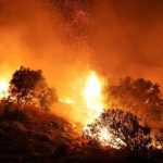 Incendi in Sicilia, ok a legge per sequestro patrimonio piromani